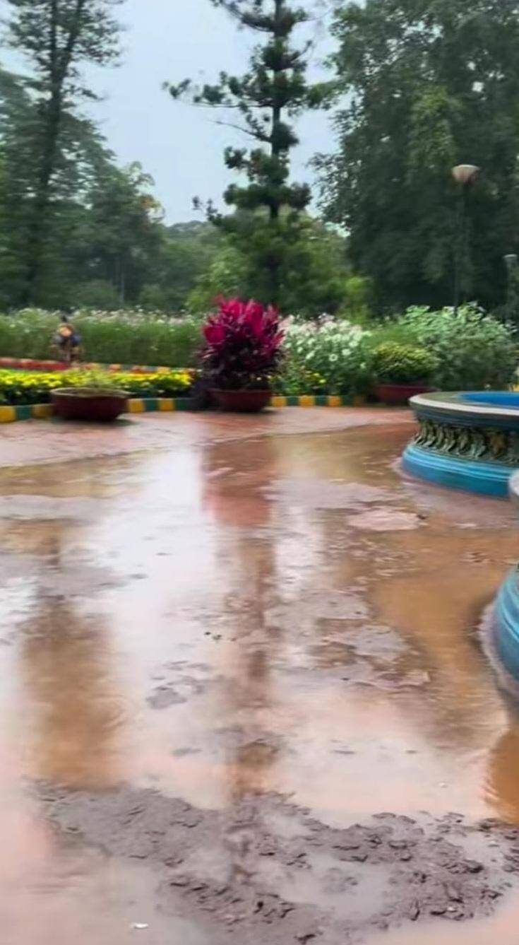 Blocked drainage vents led to waterlogging at Lalbagh, says horticulture department
