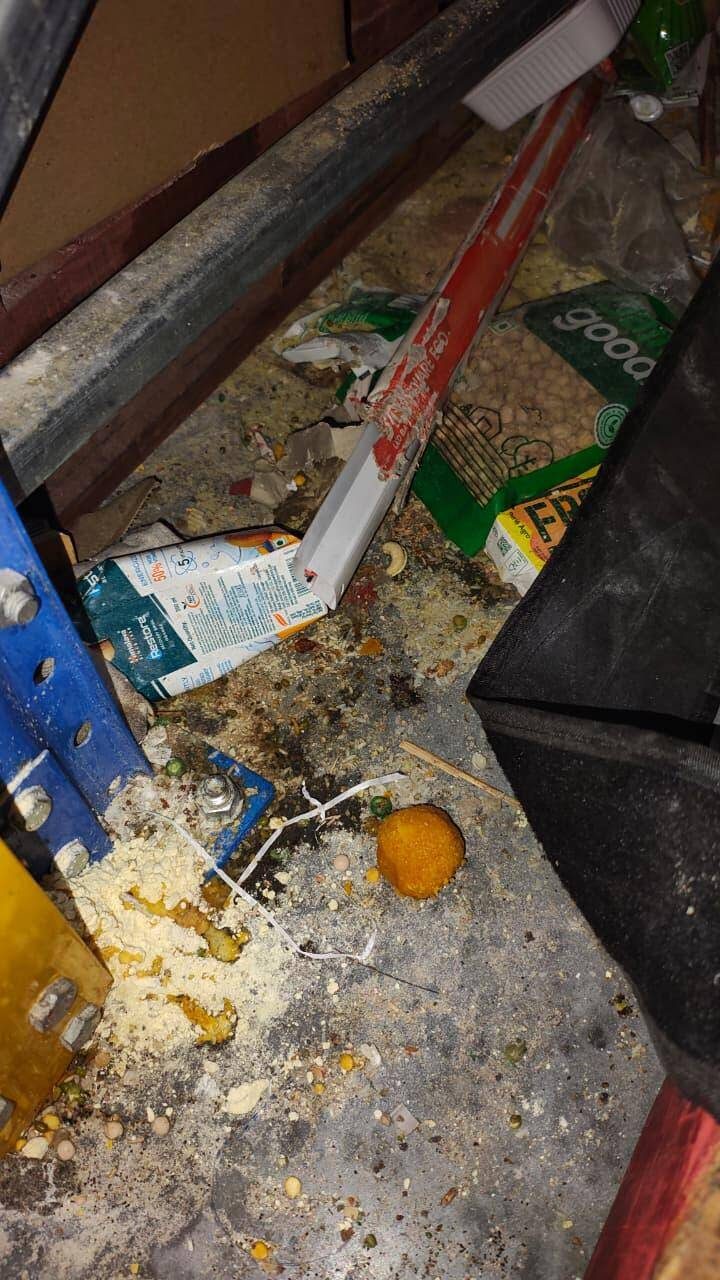 FDA finds violations in Zepto warehouse, Indira Canteen kitchens in Bengaluru