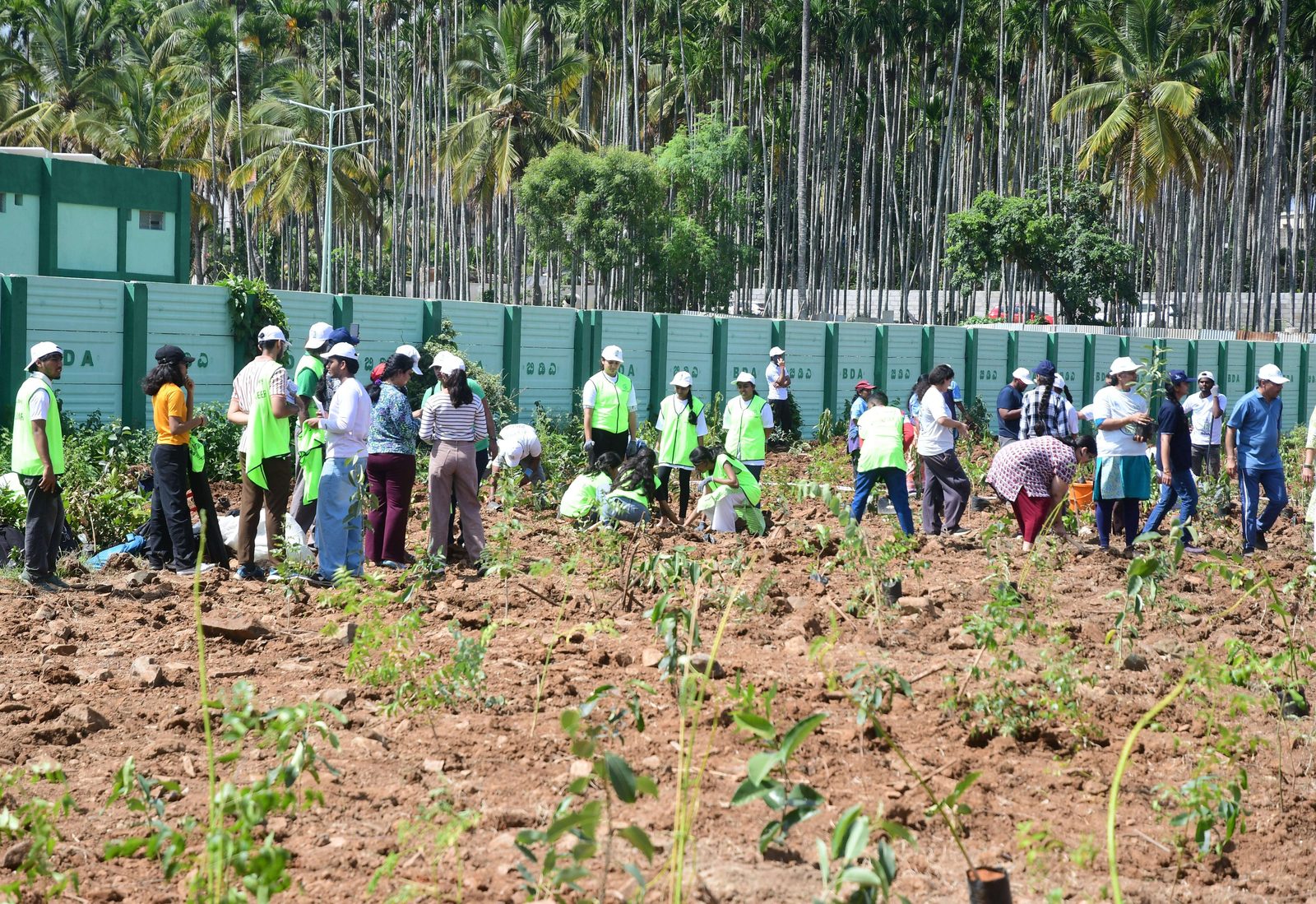 Bengaluru’s 15-lakh sapling Guinness bid cost Rs 12.5 crore