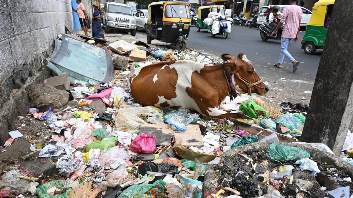 ಬೆಂಗಳೂರು, ಆಗಸ್ಟ್ 30: ತ್ಯಾಜ್ಯ, ಅತಿಕ್ರಮಣ ತೆರವುಗೊಳಿಸಲು ಜಿ. ಬಿ. ಎ. ಗೆ ಸಚಿವರು ಗಡುವು ನೀಡಿದ್ದಾರೆ.