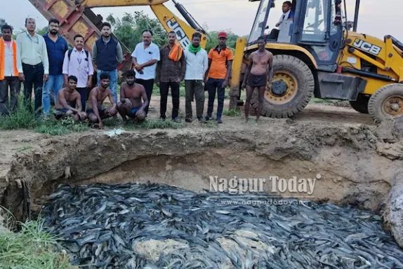 Nagpur Fisheries Department Raids 11 Ponds, Destroys 36 Tonnes of Banned Thai Mangur
