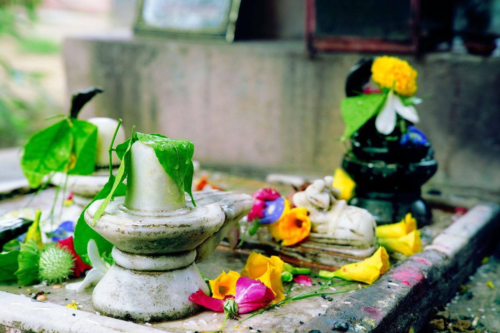 मासिक शिवरात्रि: ९ सितंबर या १० सितंबर, जानिए सही तारीख, पूजा का मुहूर्त और महत्व