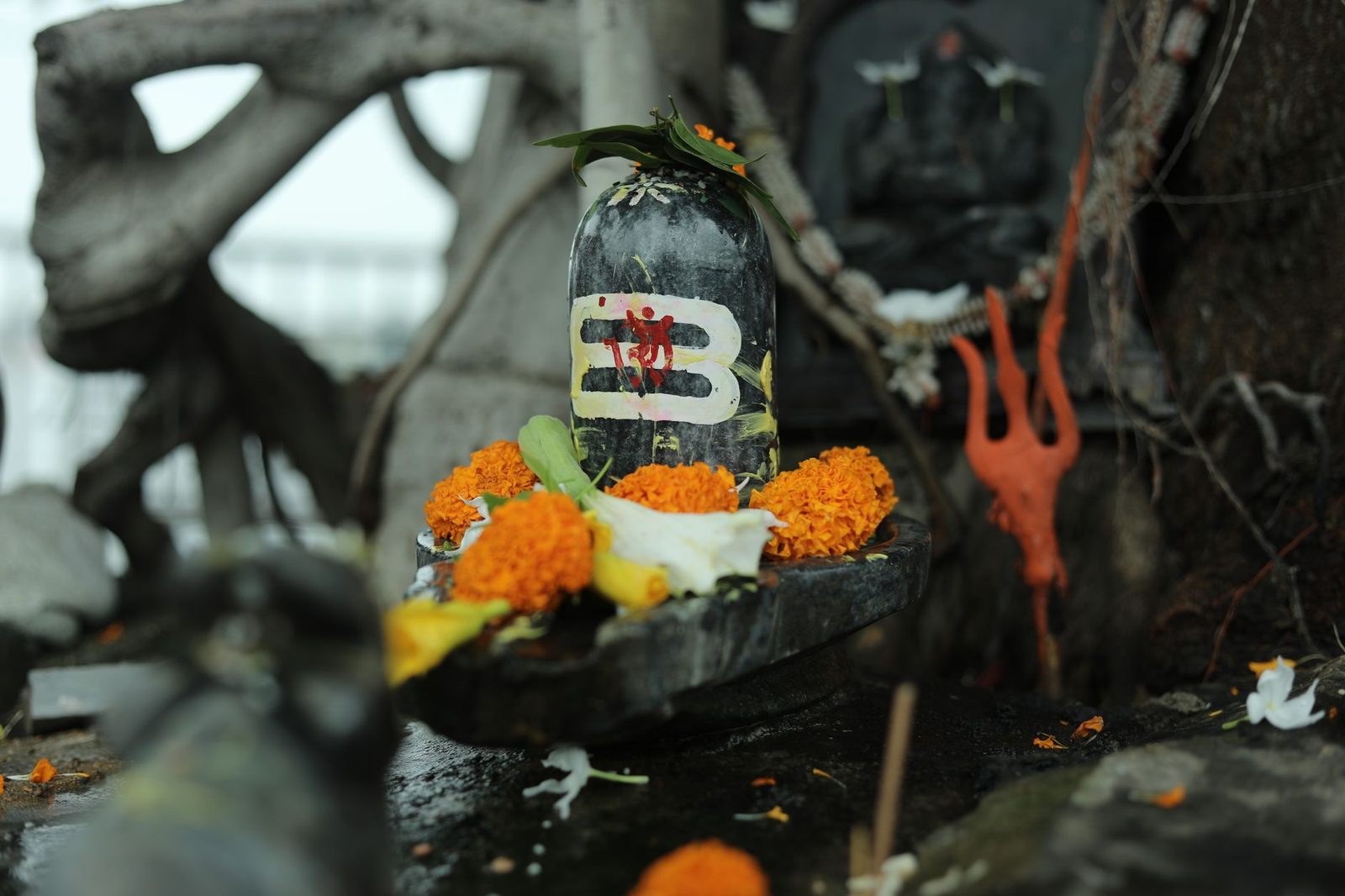 चंद्रपुर में 400 साल पुराने महाशिवलिंग का जीर्णोद्धार, अमृता फडणवीस रहीं मौजूद