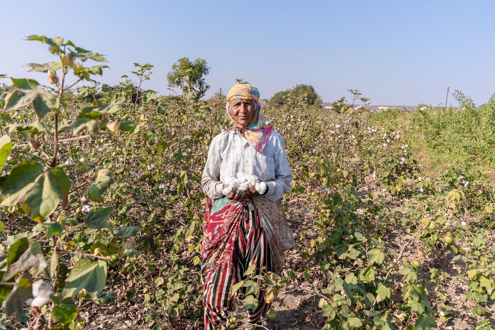 Drought grips 18 Maharashtra districts, orange and cotton crops hit hard, Bawankule holds review