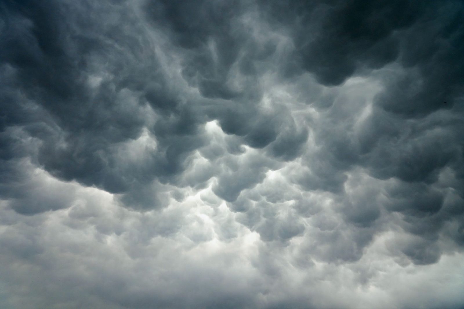 Rain returns to Nagpur, yellow alert issued for 8 Vidarbha districts