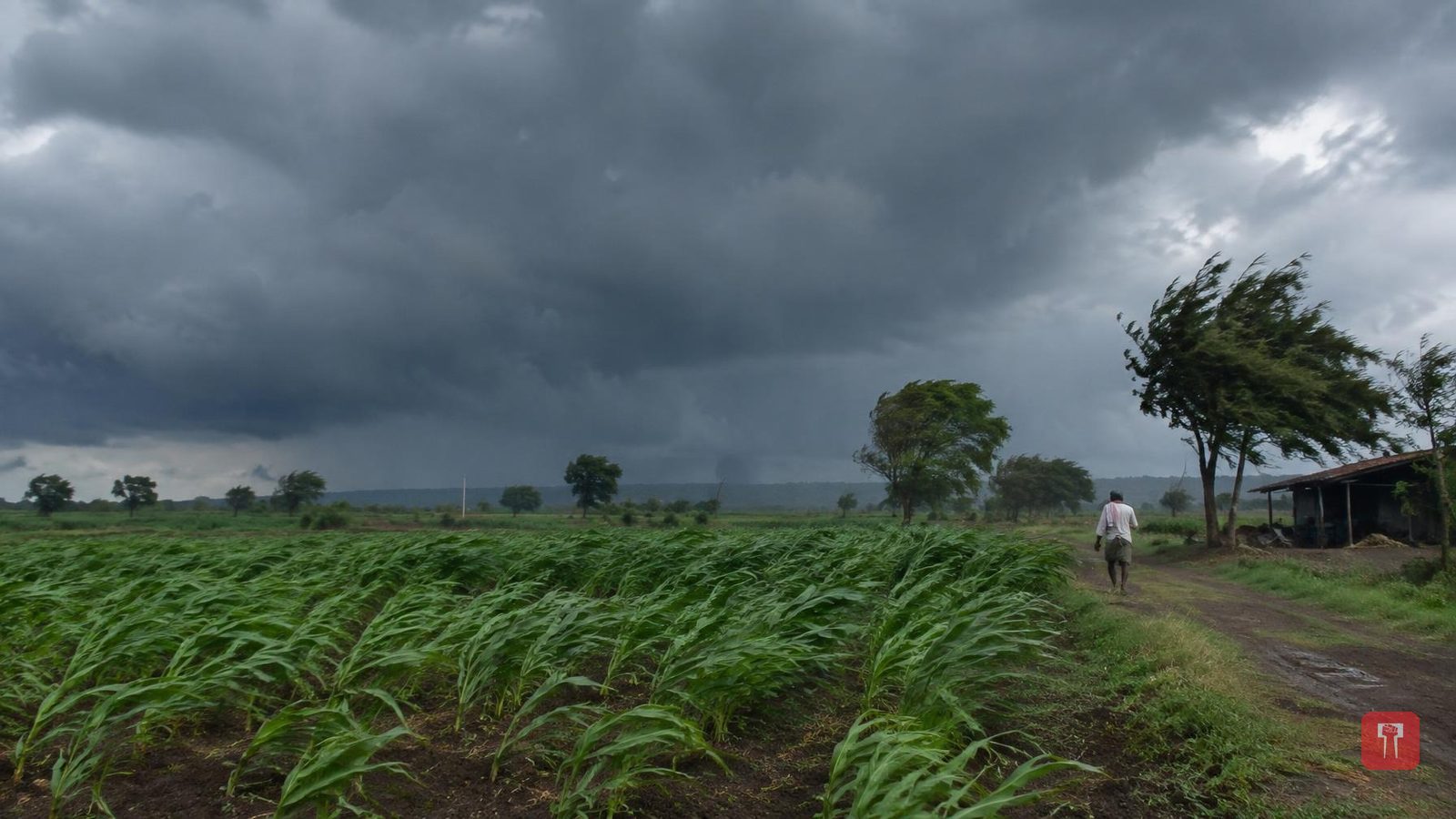 महाराष्ट्र में 18 से 20 सितंबर तक बारिश और तेज हवाओं की चेतावनी